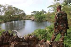 Mzima Springs in Tsavo West National Park Kenya