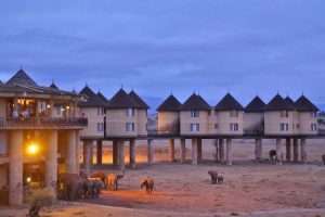 Salt Lick Safari Lodge in Tsavo West National Park