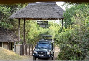 Driving by 4x4 jeep to a safari lodge in the Masai Mara