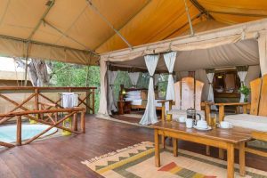 Tented camp showing bedroom with mosquito nets