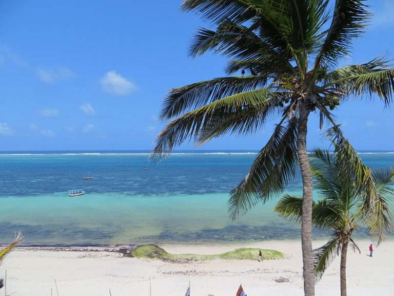 Palm trees on the coast of Nyali Beach in Mombasa