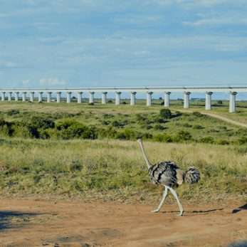 Nairobi National Park
