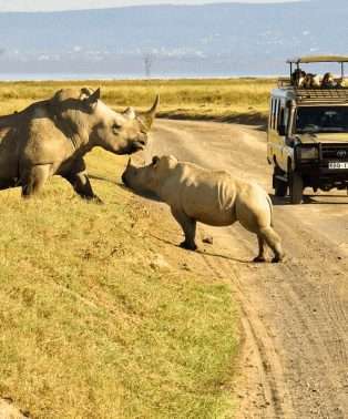 Ol pejeta conservancy 1