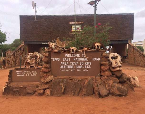 Tsavo east national park kenya