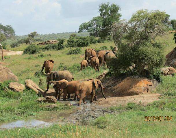 tsavo west 2