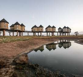 SaltLick Safari Lodge Taita Hills Wildlife Sanctuary 29