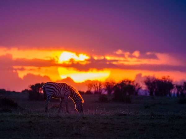 Have a Little More Time