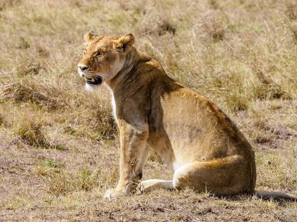 The Fun of Short Group Safaris 1