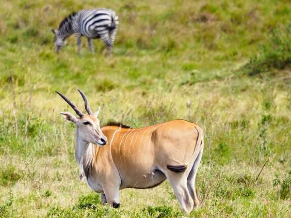 The Most Photographic Parks in the World 1