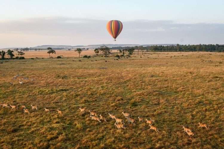 Masai Mara Hot Air Balloon Safari Africa Kenya Safaris photo credits Governors collection5