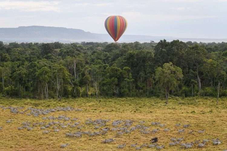 Masai Mara Hot Air Balloon Safari Africa Kenya Safaris photo credits Governors collection7