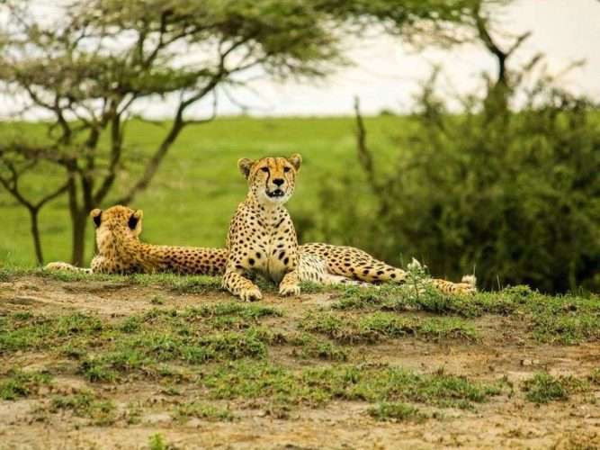 Arusha National Park Natural World Kenya Safaris 2