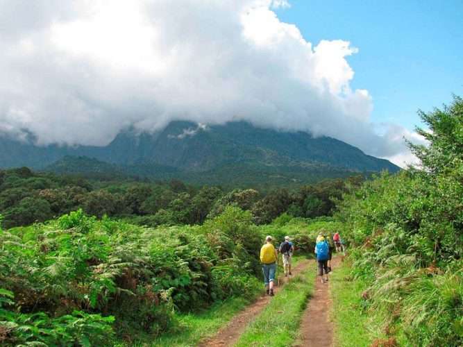 Arusha National park Walking safari Mount Meru