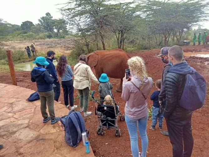 David Sheldrick Elephant Orphanage Nairobi Kenya 1 scaled