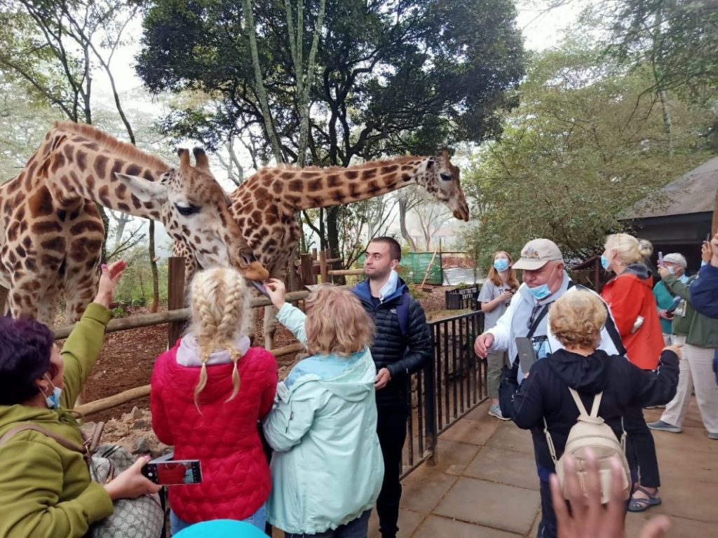 Giraffe Centre Nairobi Things to do in Nairobi Kenya 5 scaled