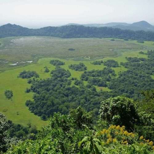 Ngurdoto Crater Arusha National Park