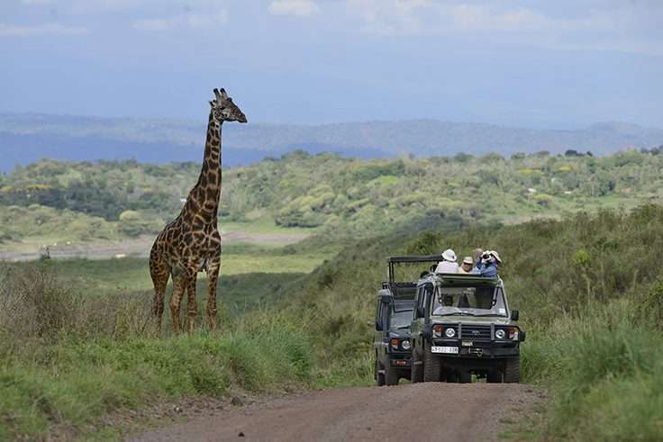 Arusha National Park Tanzania