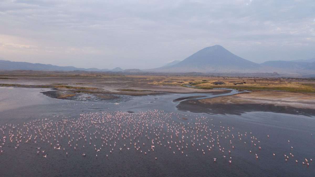 Lake Natron Tanzania flamingos Lake Natron Camp 11