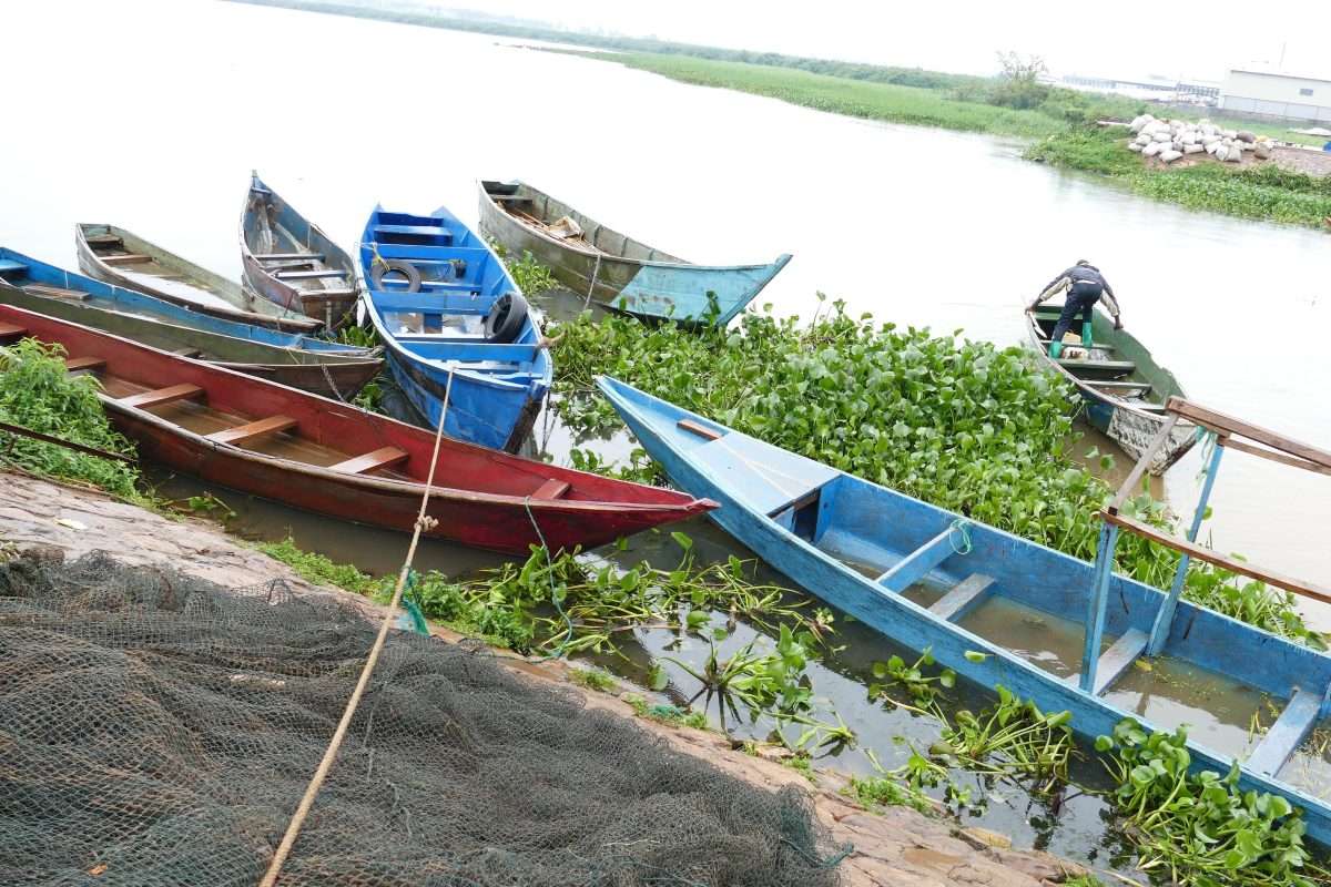 Lake Victoria Fishing tours and safaris scaled