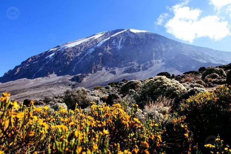 Mount Kilimajaro