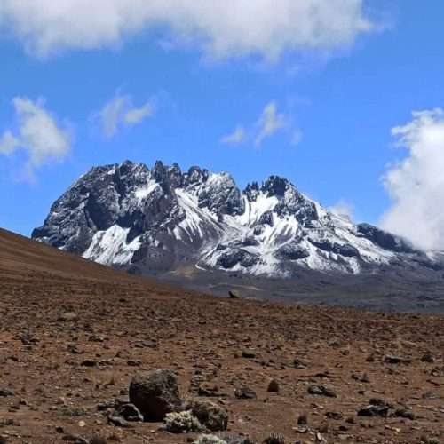 Mount kilimanjaro desert