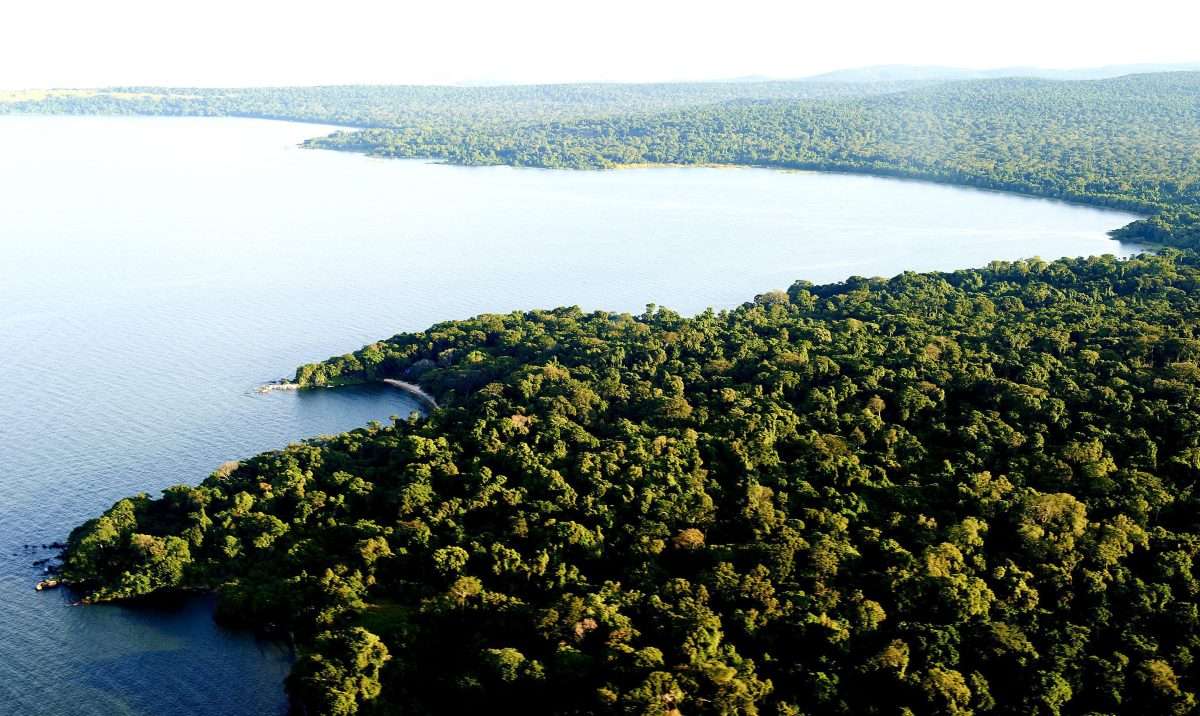 Rubondo Island Lake Victoria Tanzania scaled