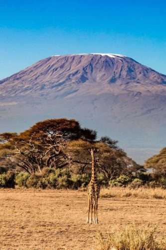 Amboseli National Park Mount Kilimnajaro2 scaled