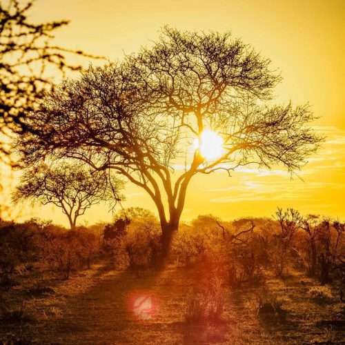 Sunset at Tsavo East National Park Kenya scaled