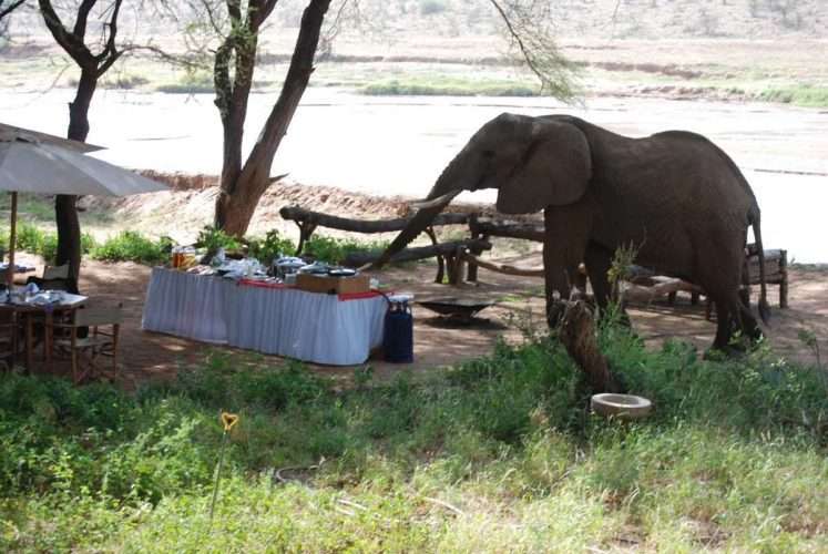 Elephant Bedroom Camp Samburu 17. scaled