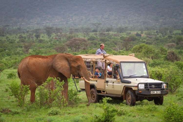 Elephant Bedroom Camp Samburu 45