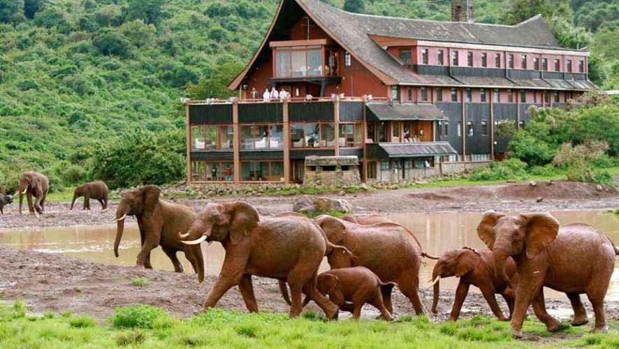 The Ark Lodge Aberdare National park Kenya scaled