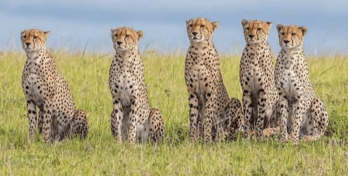 2021 11 23 13 02 46 NWKS Trip Advisor