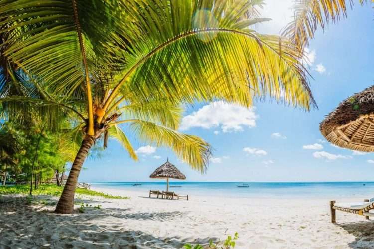 Mafia Island Zanzibar scaled