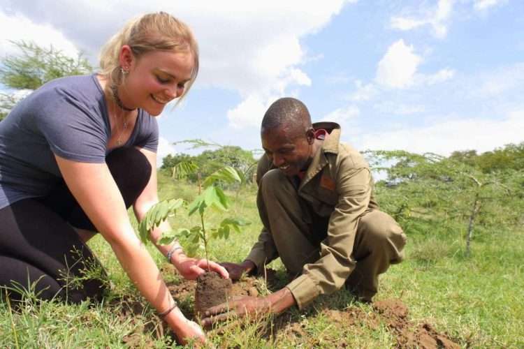 Tree planting on African safari Basecamp Masai Mara Africa Kenya Safaris scaled Tree planting on African safari Basecamp Masai Mara Africa Kenya Safaris scaled