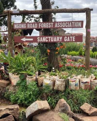 Ngong Road Forest Africa Kenya Safaris2