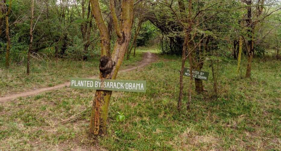 Tree planting on African safari Basecamp Masai Mara Kenya Africa Knya Safaris 3 5 scaled