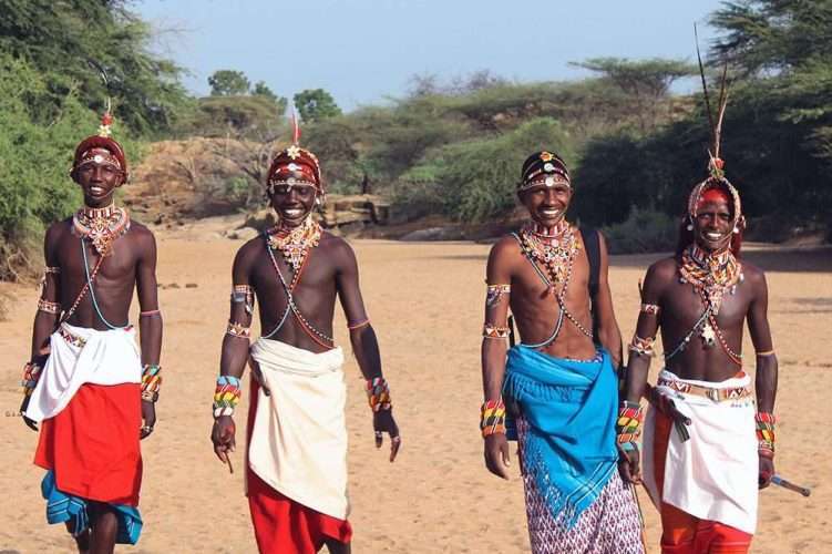 Lion Tracking Africa Kenya Safaris Ewaso Lions © Tyrel Bernardini