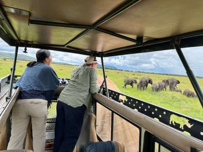 Best safari tours in Kenya and Tanzania Africa Kenya Safaris
