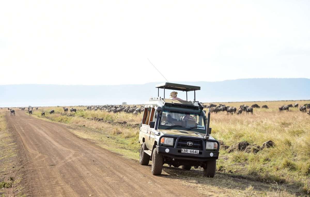 Masai Mara Kenya safaris Africa safari holidays Africa Kenya Safaris scaled Masai Mara Kenya safaris Africa safari holidays Africa Kenya Safaris scaled