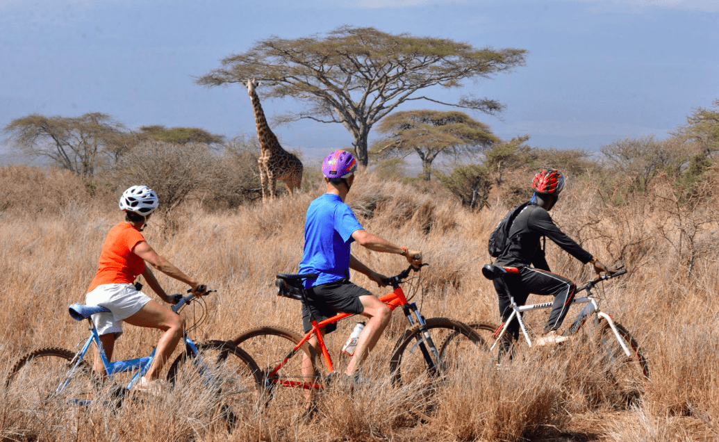 satao elerai – mountain biking safari