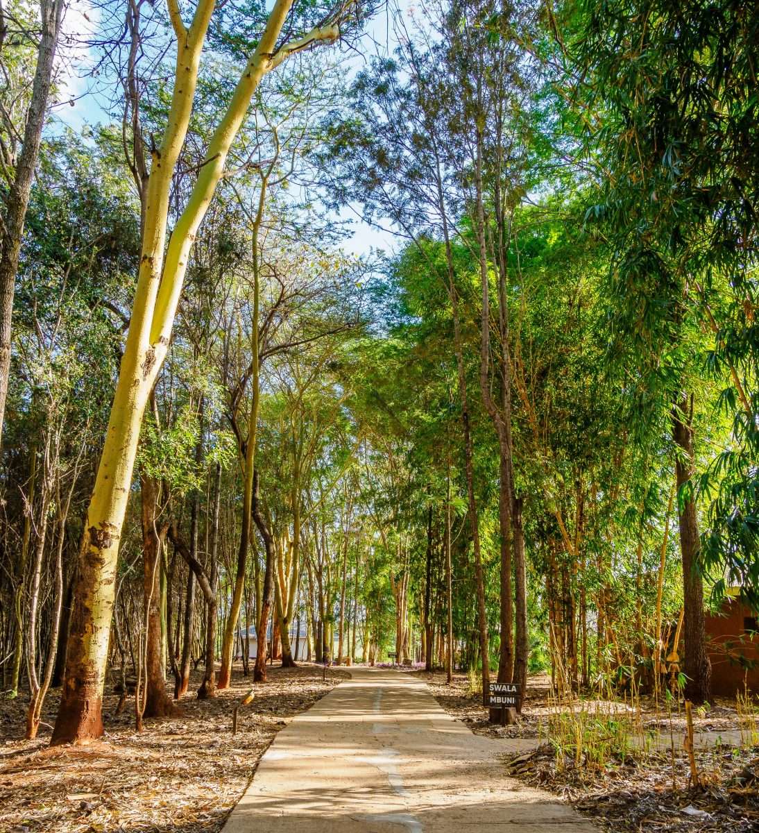 Ngorongoro Farm House Ngorongoro Conservation Area Tanzania Book best Kenya safaris Tanzania safaris and Africa safari holidays with Africa Kenya Safaris 37 scaled