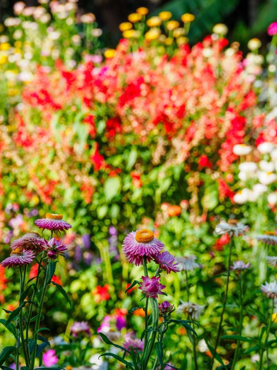 Ngorongoro Farm House Ngorongoro Conservation Area Tanzania Book best Kenya safaris Tanzania safaris and Africa safari holidays with Africa Kenya Safaris 56 scaled