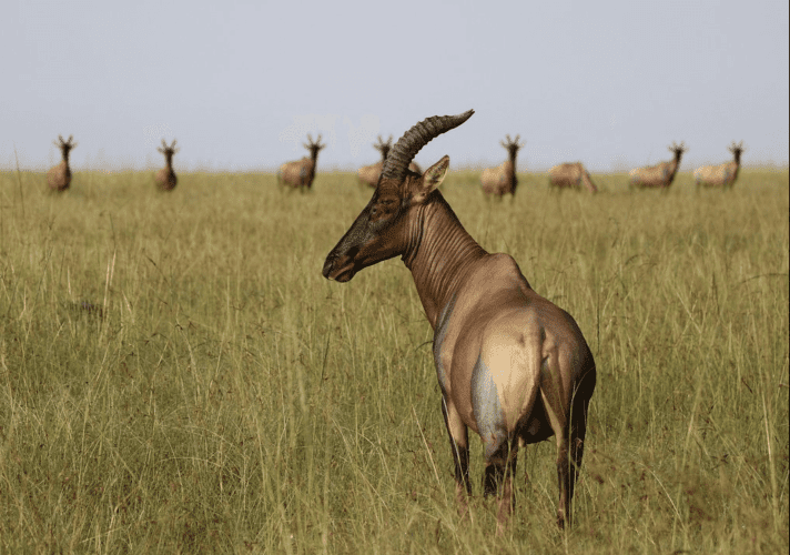 2021 11 22 10 06 55 NWKS Trip Advisor