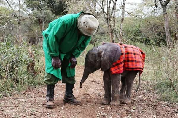 Attack baby w blanket