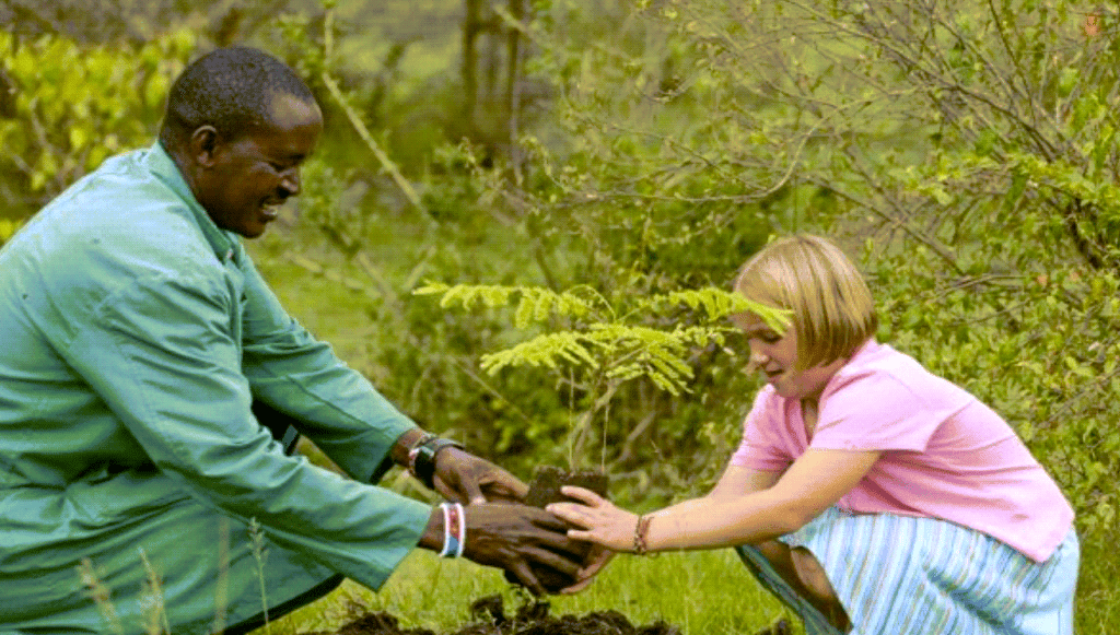 Treeplanting from Website