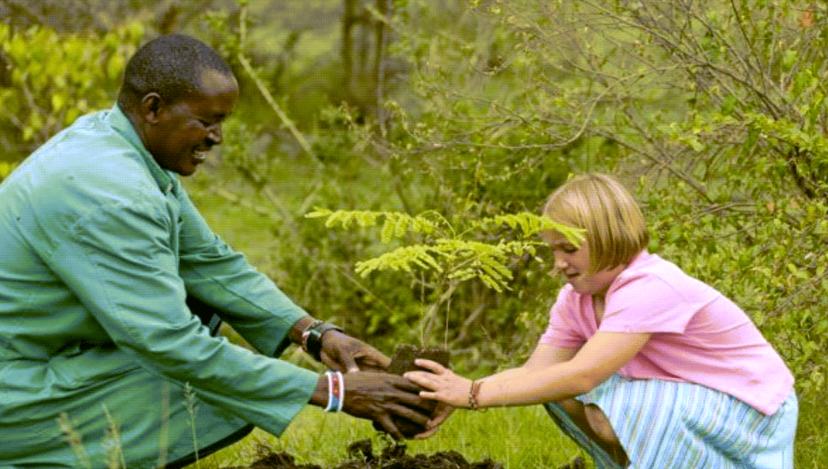 Treeplanting from Website