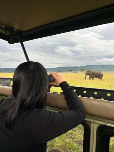 Africa safari tours in Kenya and Tanzania with Africa Kenya Safaris 1 scaled