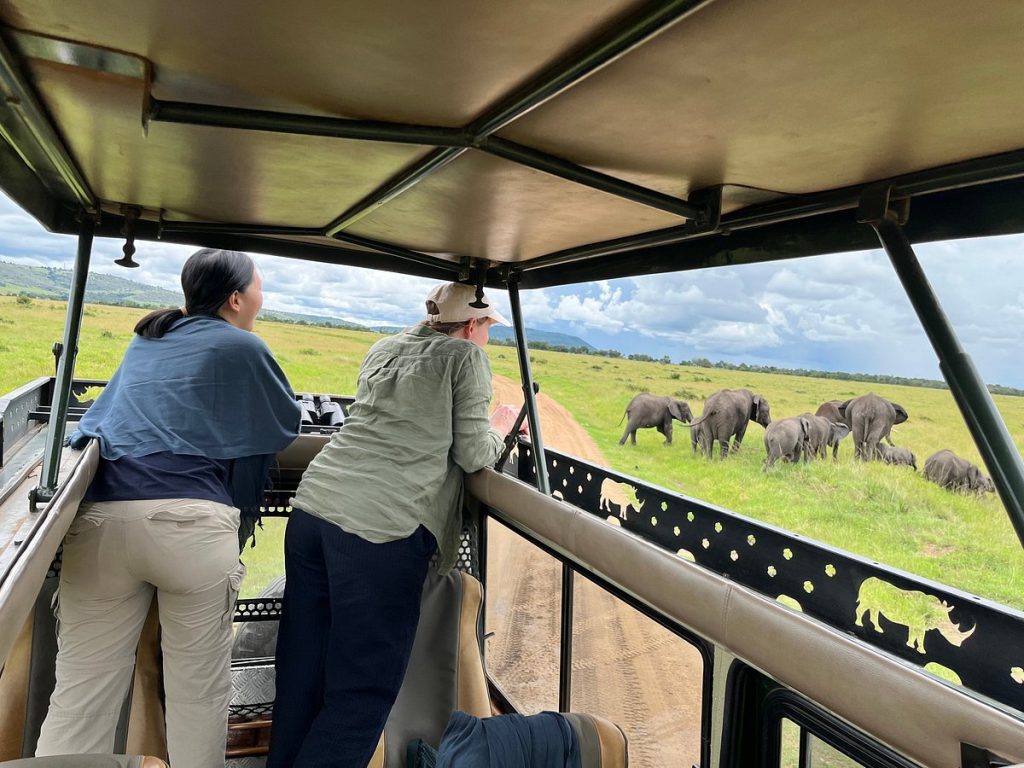Africa safari tours in Kenya and Tanzania with Africa Kenya Safaris 2