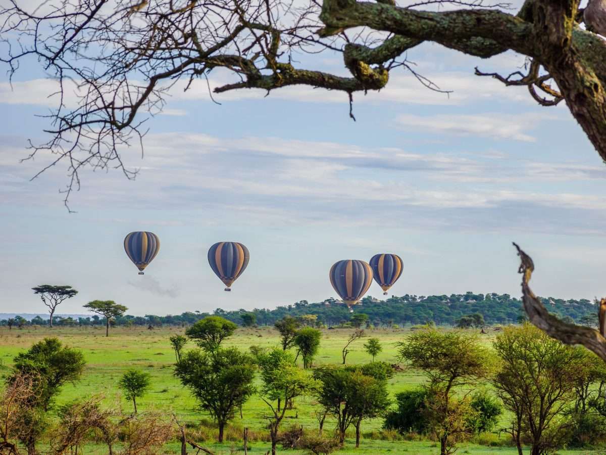 Angata Camp Serengeti National Park Tanzania Book best Kenya safaris Tanzania safaris and Africa safari holidays with Africa Kenya Safaris 42 scaled
