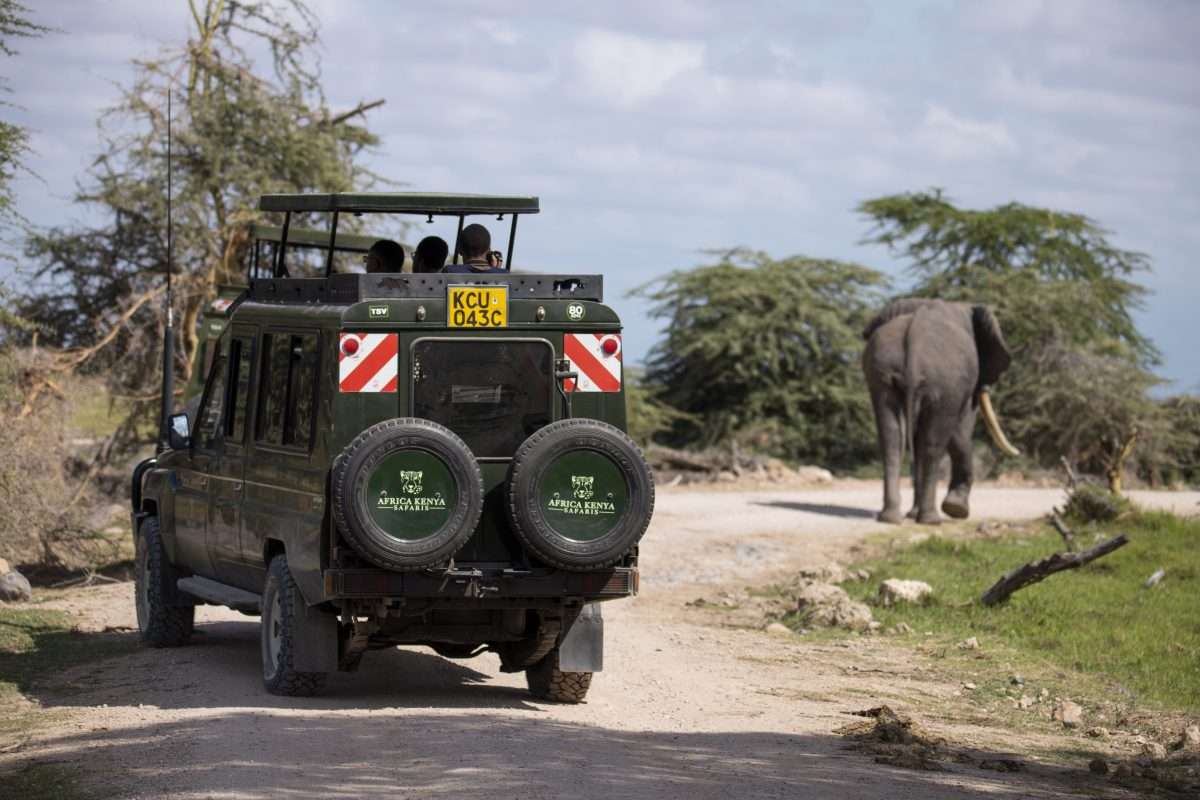 Elephants at Amboseli National Park in Kenya. Book best East Africa safaris in Kenya and Tanzania with Africa Kenya Safaris and explore the best wildlife parks like Amboseli, Lake Nakuru, Masai Mara, Ol Pejeta, Tsavo, Serengeti, Ngorongoro, Lake Manyara and Tarangire